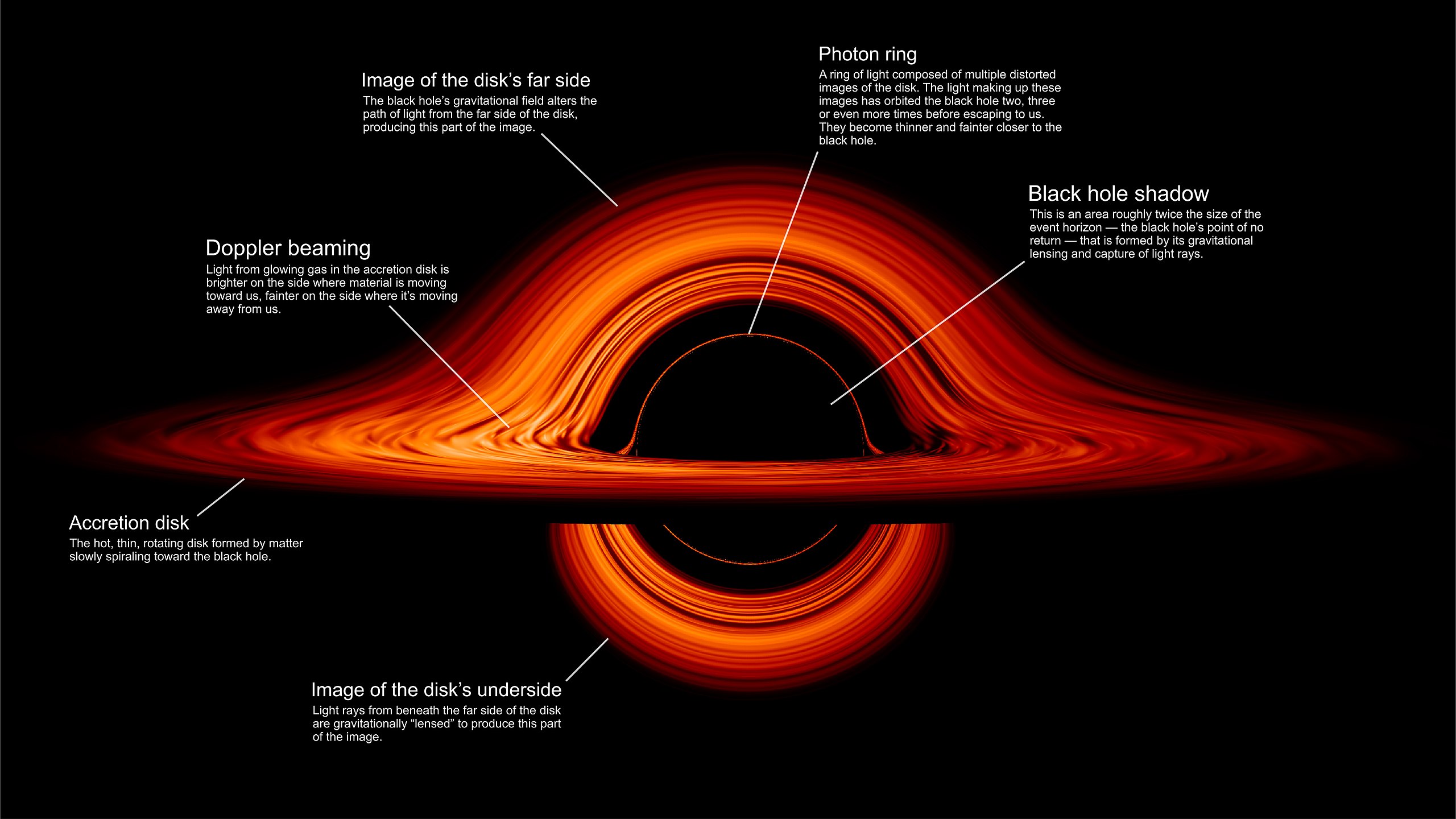 Non-linearly charged black holes: Shadow and Thin-accretion disk