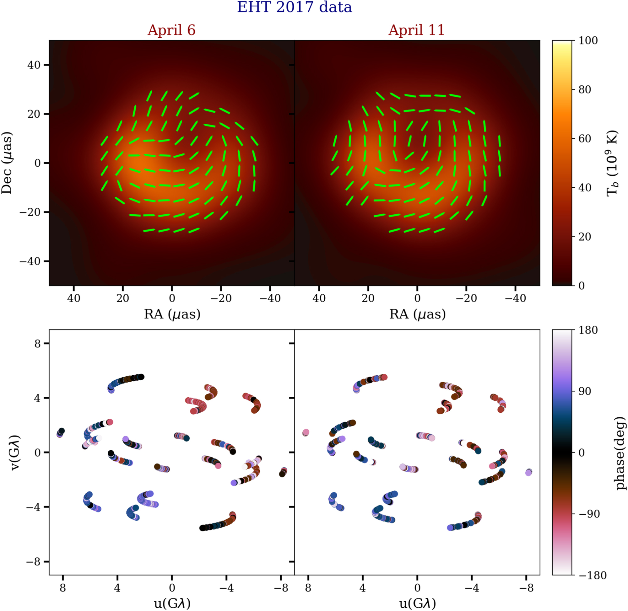 The E-B-correlation in Resolved Polarized Images: Connections to Astrophysics of Black Holes